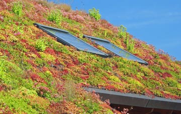 Worstead living roof systems
