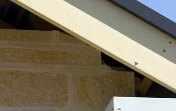 soffit repair Worstead